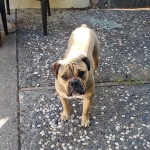 Meet your Posher, David